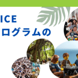 沖縄MICE向け LEGO® SERIOUS PLAY®プログラムのチラシを公開しました！